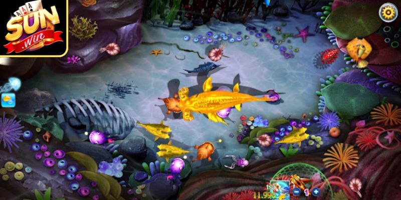 Hướng dẫn luật cũng như các tính năng đặc biệt