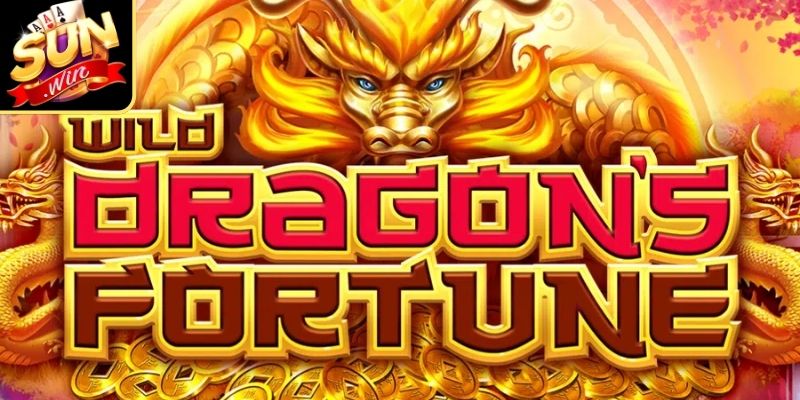 Tìm hiểu rõ hơn về cơ chế vận hành Dragon Fortune